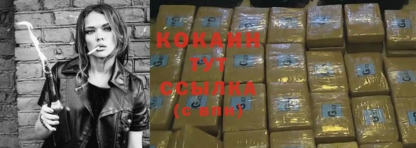 соль ск Абаза