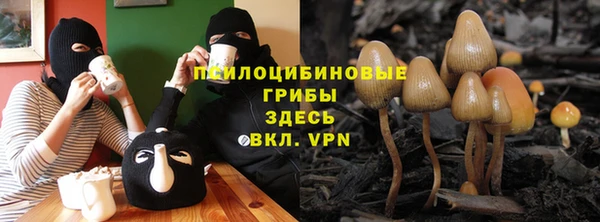 каннабис Алзамай