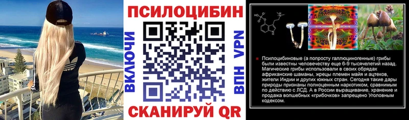 Псилоцибиновые грибы мицелий  Починок 
